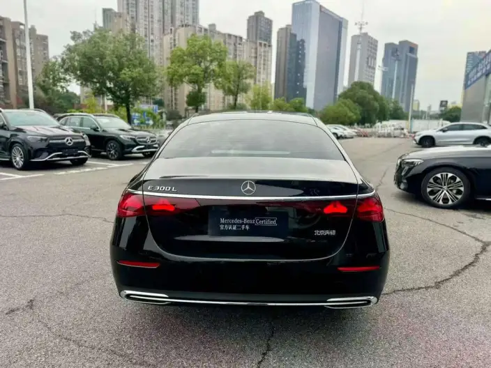 Mercedes-Benz E-Class 2025 Model Facelift E 300 L Luxury Model sedan – фото 6