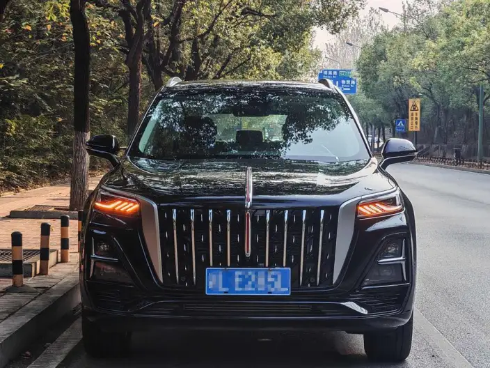 Hongqi HS5 2025 Model 2.0T Flag Xiang Pro Edition – фото 2