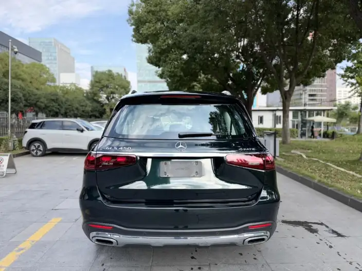 Mercedes-Benz GLS 2024 Model GLS 450 4MATIC Luxury Model – фото 6