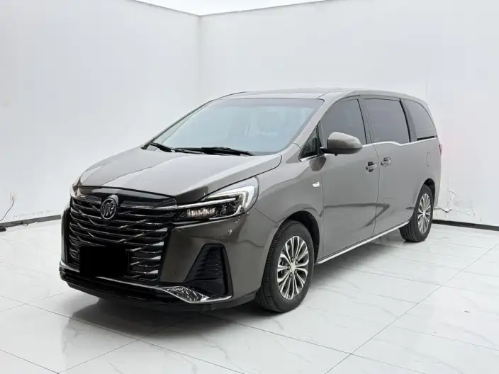 Buick GL8 2023 Model Business class 2.0T Comfort Model – фото 1