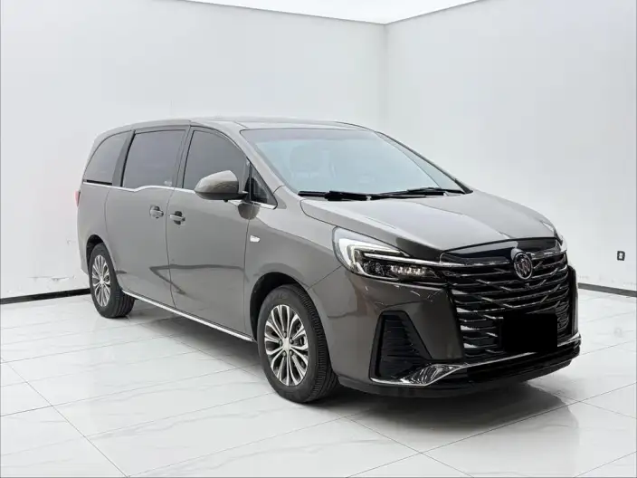 Buick GL8 2023 Model Business class 2.0T Comfort Model – фото 3