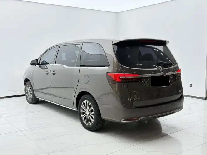 Buick GL8 2023 Model Business class 2.0T Comfort Model – фото 4