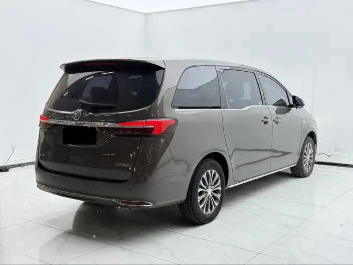 Buick GL8 2023 Model Business class 2.0T Comfort Model – фото 6