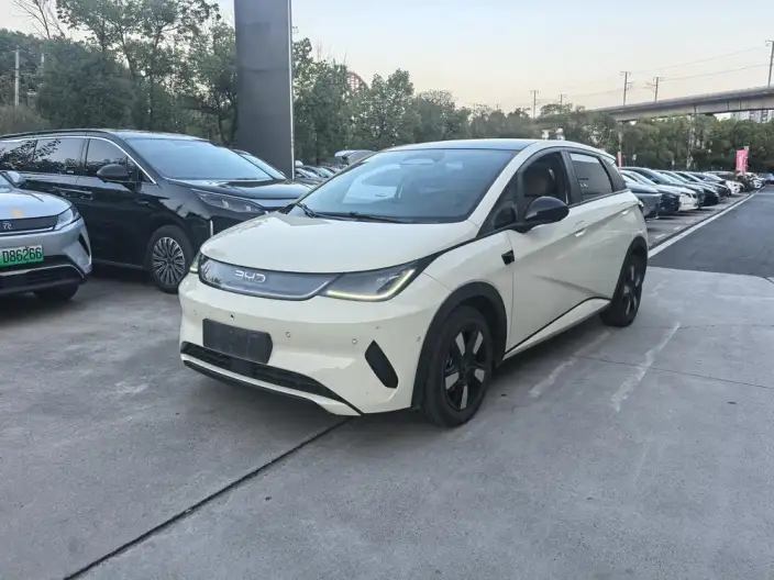 BYD Dolphin 2025 Model Smart Driving Edition 410KM Fashion Edition – фото 1