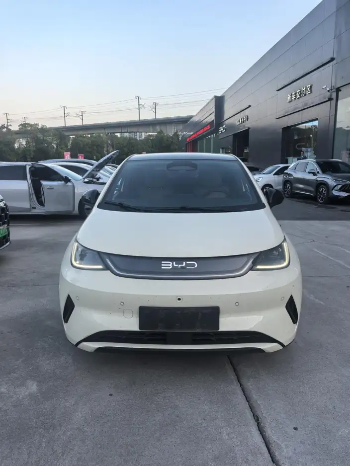 BYD Dolphin 2025 Model Smart Driving Edition 410KM Fashion Edition – фото 2