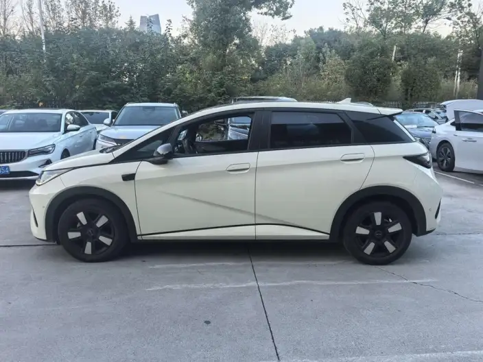 BYD Dolphin 2025 Model Smart Driving Edition 410KM Fashion Edition – фото 3
