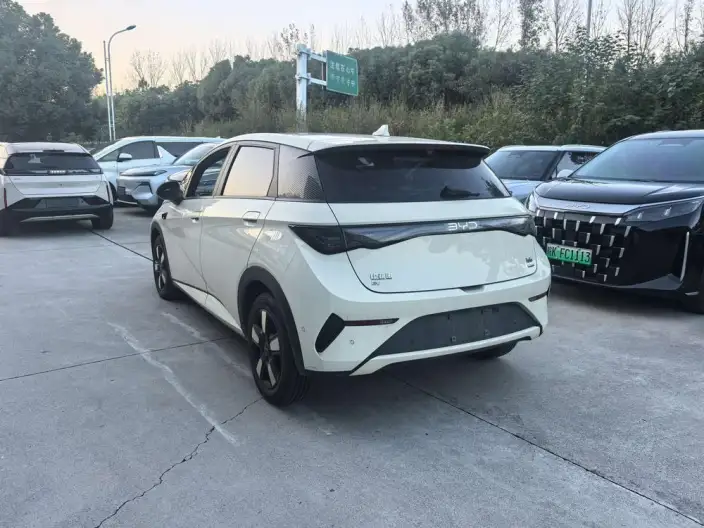 BYD Dolphin 2025 Model Smart Driving Edition 410KM Fashion Edition – фото 4