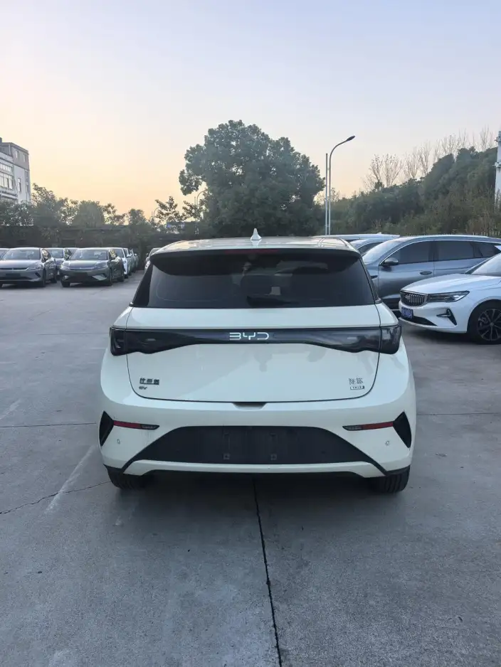 BYD Dolphin 2025 Model Smart Driving Edition 410KM Fashion Edition – фото 5