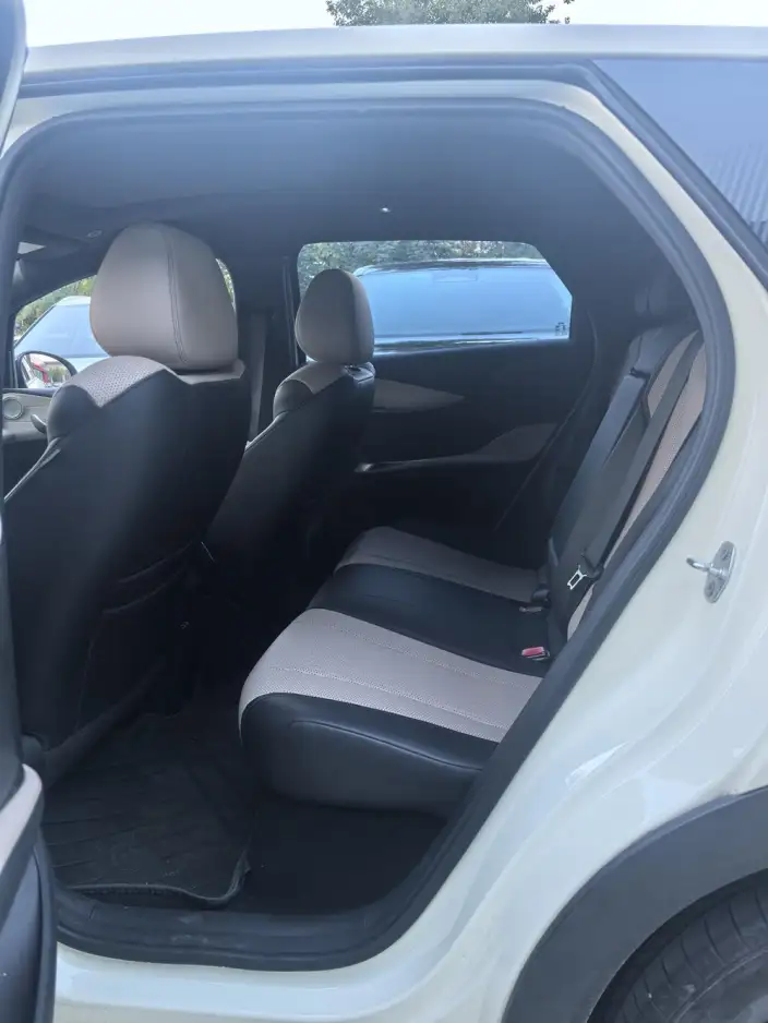 BYD Dolphin 2025 Model Smart Driving Edition 410KM Fashion Edition – фото 9