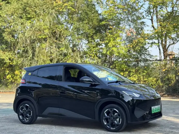 BYD Seagull 2025 Model Smart Driving Edition 405KM Feixiang Edition – фото 3