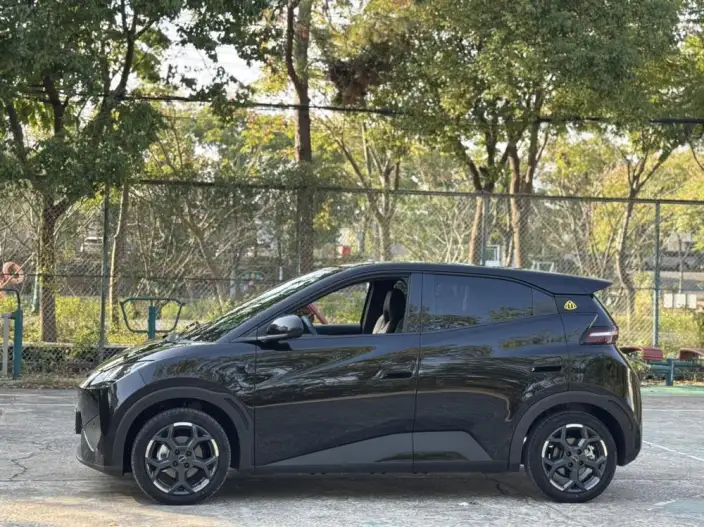 BYD Seagull 2025 Model Smart Driving Edition 405KM Feixiang Edition – фото 4