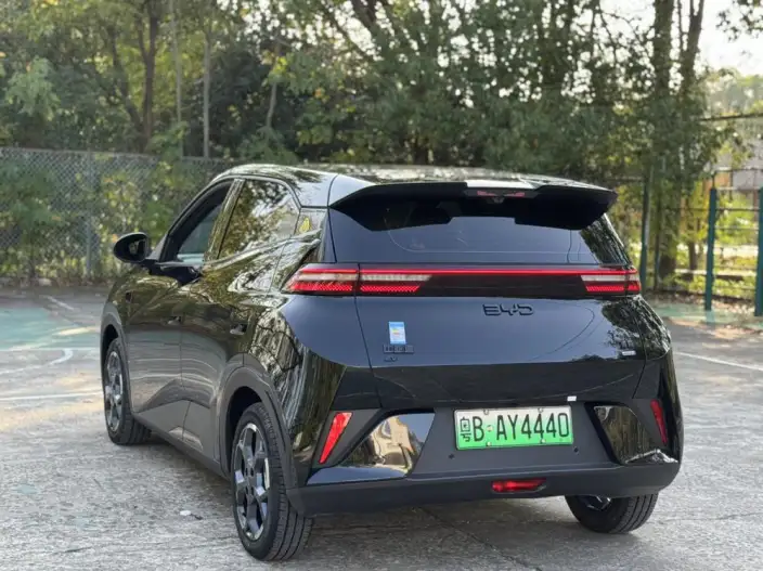 BYD Seagull 2025 Model Smart Driving Edition 405KM Feixiang Edition – фото 5