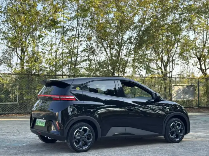 BYD Seagull 2025 Model Smart Driving Edition 405KM Feixiang Edition – фото 8