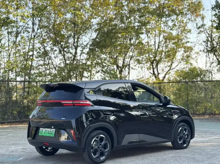 BYD Seagull 2025 Model Smart Driving Edition 405KM Feixiang Edition – фото 9