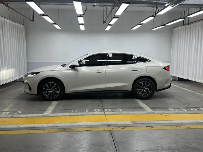 BYD Seal 06 DM 2024 Model DM-i 80KM Noble Model – фото 4