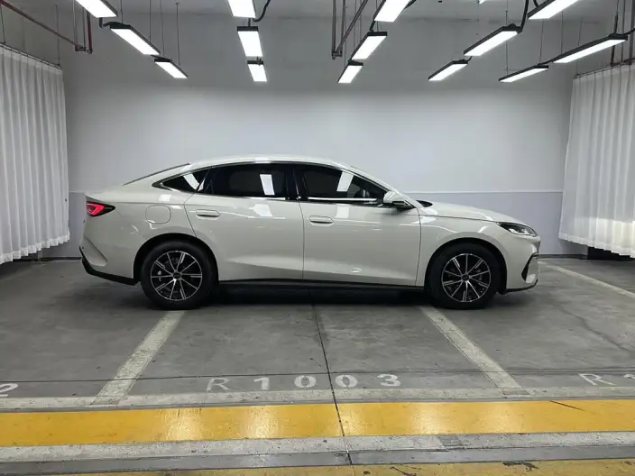BYD Seal 06 DM 2024 Model DM-i 80KM Noble Model – фото 8