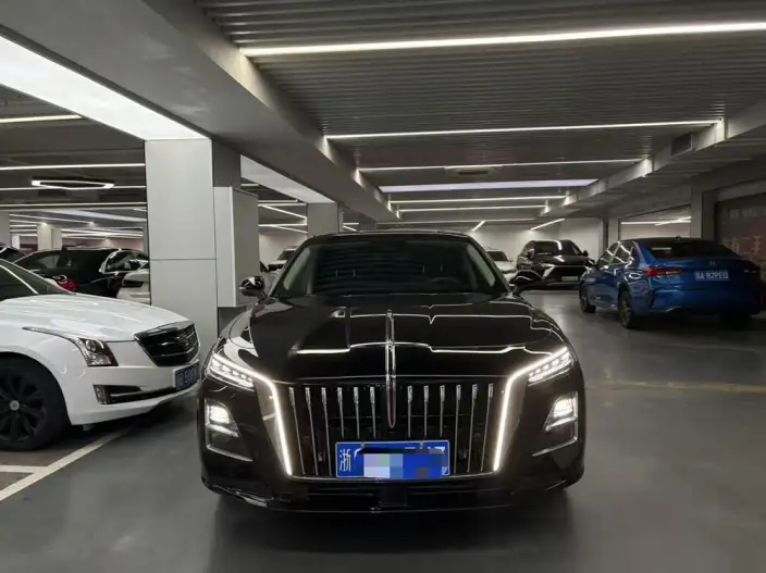 Hongqi H5 2026 Model 2.0T Automatic Flag Ling Pro Edition – фото 2
