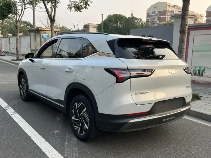 **Wuling Xingguang S** PHEV 2024 Model 130km Flagship Model – фото 5