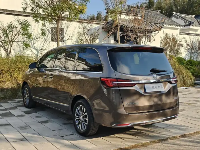 Buick GL8 2022 Model Business class 652T Luxury Model – фото 5