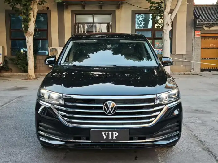 Viloran 2023 Model 330TSI Deluxe Edition – фото 2