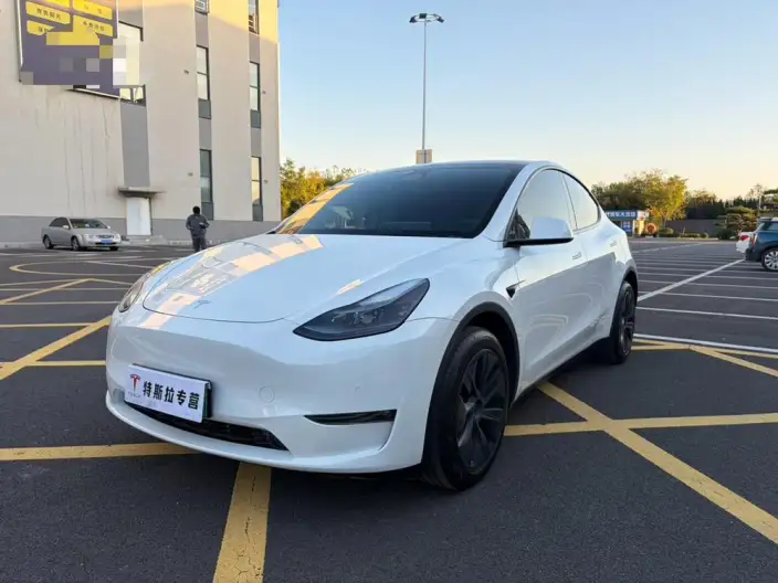 Model Y 2023 Model Long Battery Life Pro All-wheel drive version – фото 1