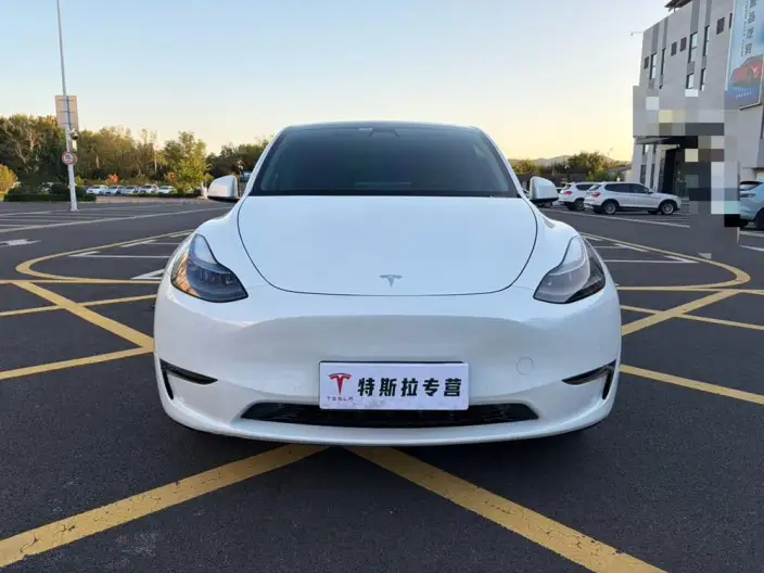 Model Y 2023 Model Long Battery Life Pro All-wheel drive version – фото 2
