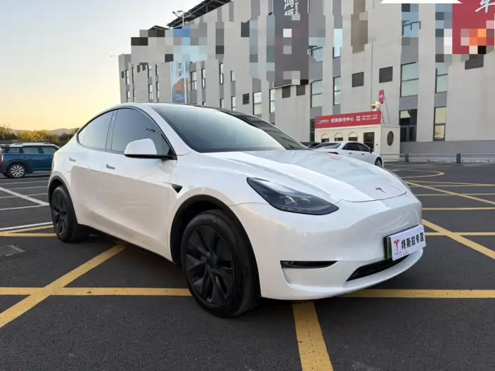 Model Y 2023 Model Long Battery Life Pro All-wheel drive version – фото 3