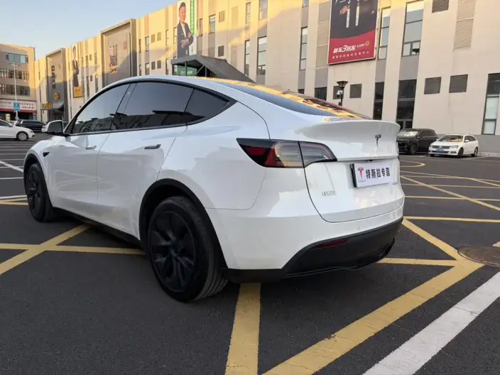 Model Y 2023 Model Long Battery Life Pro All-wheel drive version – фото 4