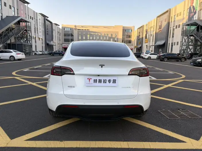 Model Y 2023 Model Long Battery Life Pro All-wheel drive version – фото 5