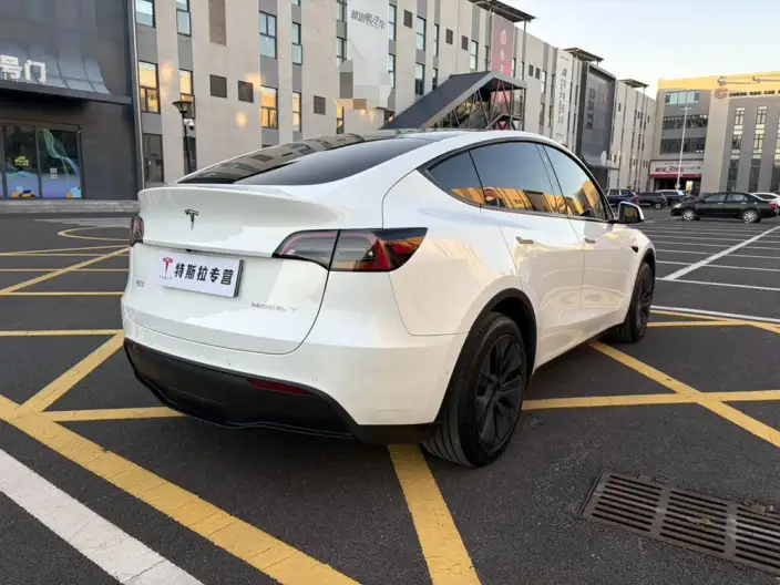 Model Y 2023 Model Long Battery Life Pro All-wheel drive version – фото 6