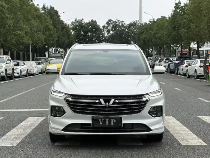 Wuling Victory 2020 Model 1.5T CVT Flagship Model
