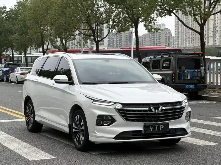 Wuling Victory 2020 Model 1.5T CVT Flagship Model