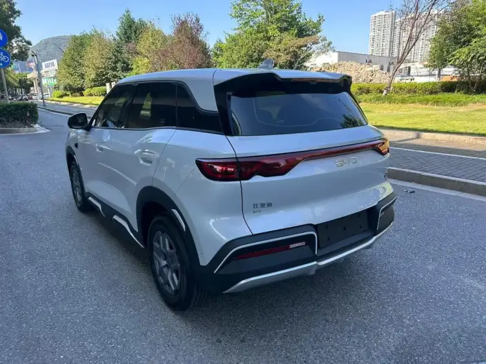 Yuan UP 2025 Model Smart Driving Edition 401KM Vitality Edition – фото 4