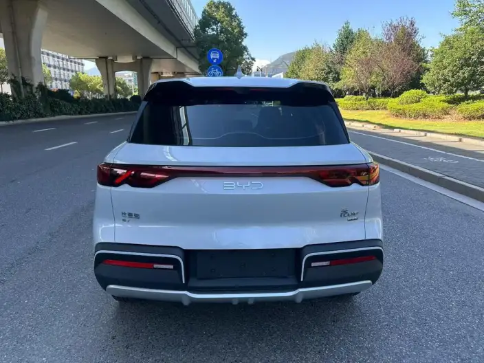 Yuan UP 2025 Model Smart Driving Edition 401KM Vitality Edition – фото 5