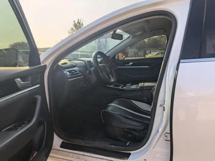 Qin Plus EV 2021 Model 400KM Travel Edition – фото 9