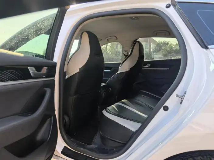 Qin Plus EV 2021 Model 400KM Travel Edition – фото 10