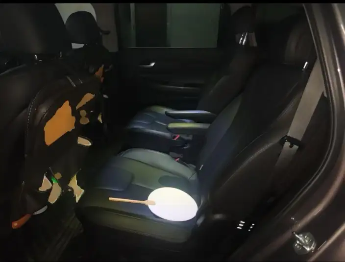 Hyundai Santa Fe 2020 Model 380 TGDi DLX Automatic 2WD Zhizun Edition PLUS – фото 9