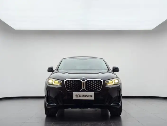 BMW X4 2022 Model xDrive 30i M Sports Set – фото 2