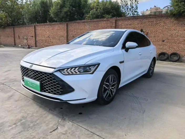 BYD Qin PLUS DM 2021 Model DM-i 55KM Flagship Model – фото 1