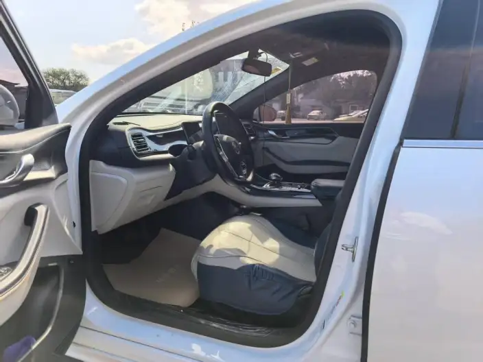 BYD Qin PLUS DM 2021 Model DM-i 55KM Flagship Model – фото 9