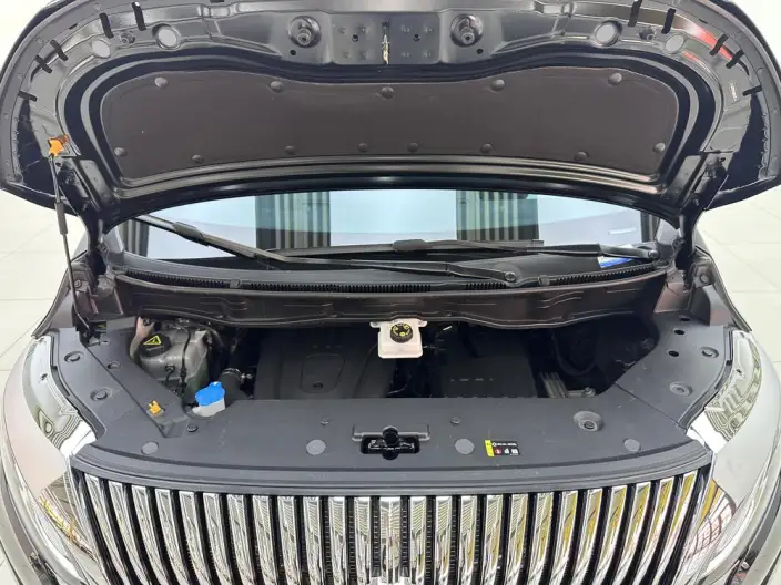 Wey Gaoshan P HEV 2025 Model 4WD Wey Gaoshan 8 – фото 10