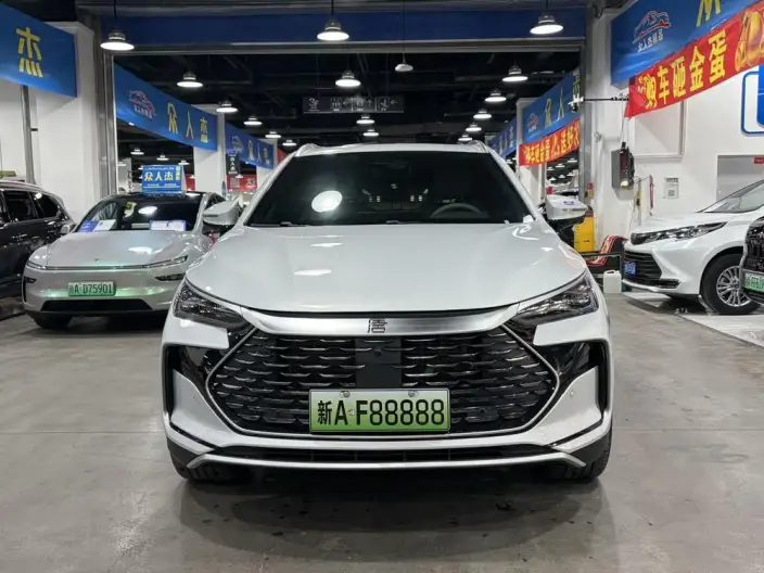 BYD Tang DM 2025 Model Smart Driving Edition DM-i 115KM Noble Model – фото 2