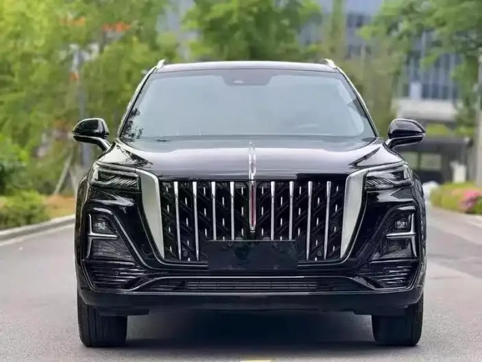 Hongqi HS5 2023 Model 2.0T Flag Xiang Pro Edition – фото 2