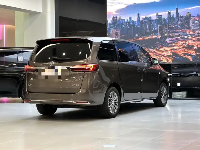 Buick GL8 2023 Model Business class 2.0T Comfort Model – фото 6