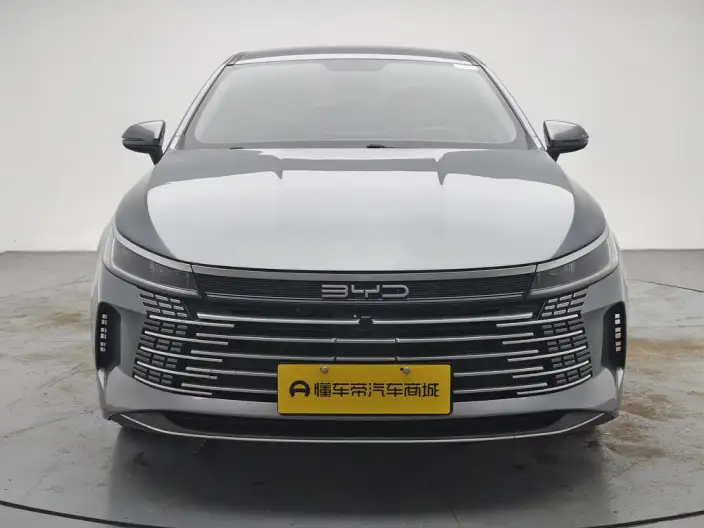 BYD Destroyer 05 2024 Model Honor Edition DM-i 55KM Luxury Model – фото 2