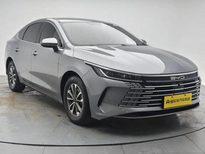 BYD Destroyer 05 2024 Model Honor Edition DM-i 55KM Luxury Model – фото 3