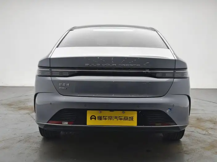 BYD Destroyer 05 2024 Model Honor Edition DM-i 55KM Luxury Model – фото 6