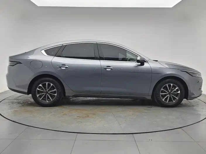 BYD Destroyer 05 2024 Model Honor Edition DM-i 55KM Luxury Model – фото 8
