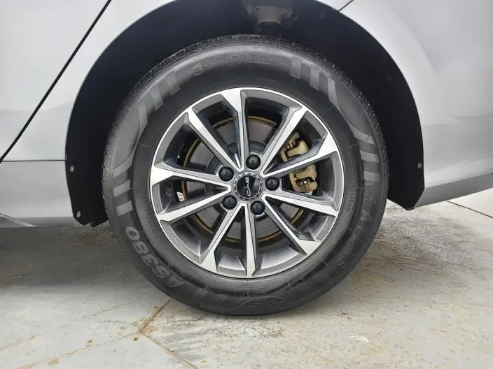 BYD Destroyer 05 2024 Model Honor Edition DM-i 55KM Luxury Model – фото 9