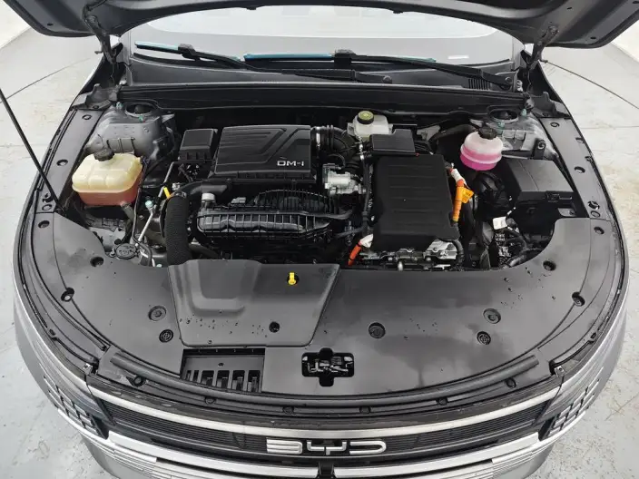 BYD Destroyer 05 2024 Model Honor Edition DM-i 55KM Luxury Model – фото 10